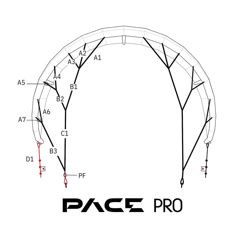 PACE PRO Bridle